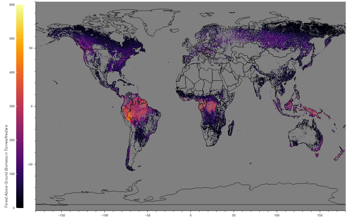 Forest Biomass 2026.08.01 - 2026.08.31